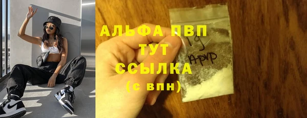 гашик Белоозёрский