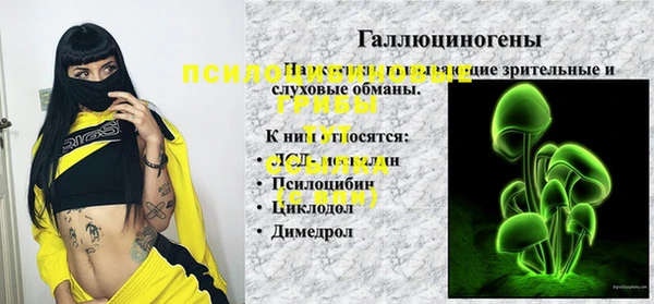 гидра Беломорск